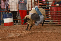 IMG_0011