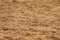 HU8A0606