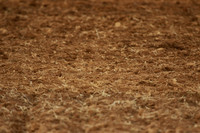 HU8A0021