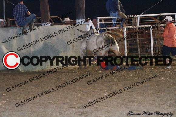 IMG_0247